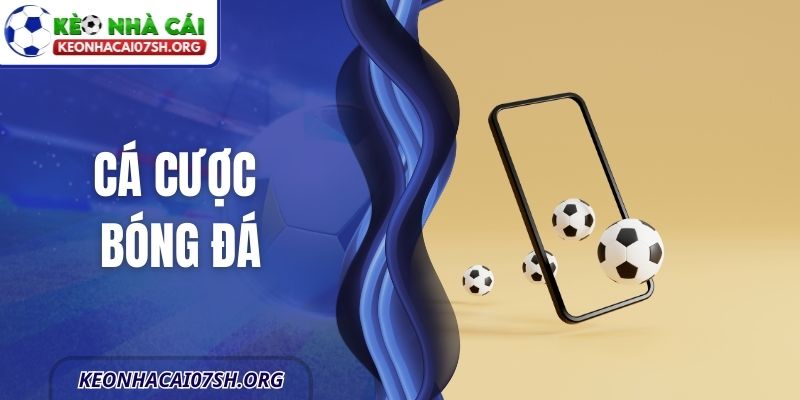 Cá Cược Bóng Đá - Những Sai Lầm Người Mới Cần Tránh