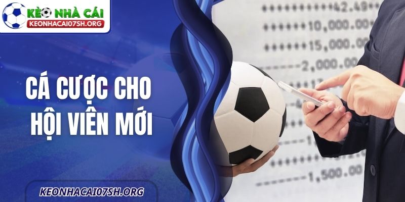 Cá Cược Cho Hội Viên Mới - Tránh Các Sai Lầm Phổ Biến