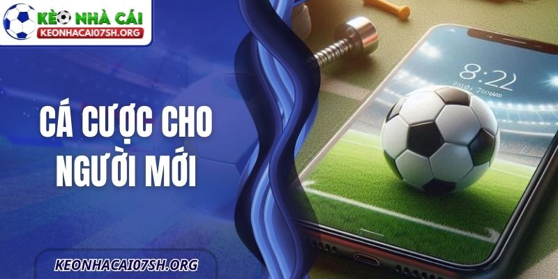 Cá Cược Cho Người Mới - Hướng Dẫn Tiếp Cận Thông Tin