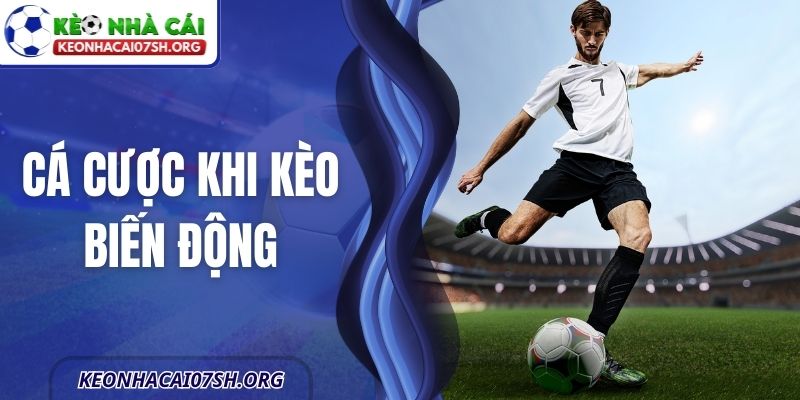 Cá Cược Khi Kèo Biến Động Và Cách Xử Lý Thông Minh 4 Cá Cược Khi Kèo Biến Động Và Cách Xử Lý Thông Minh