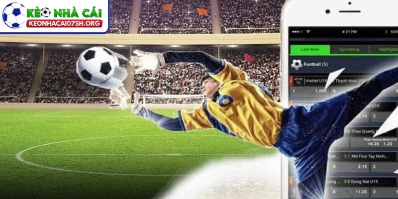 Điều kiện của sân cỏ