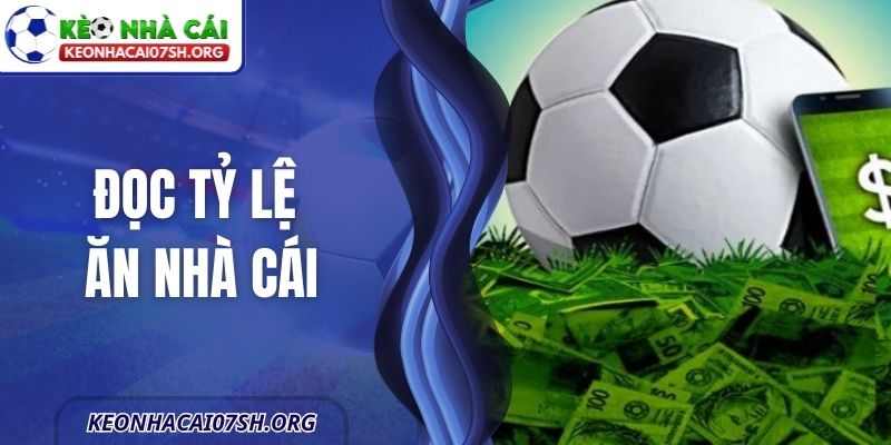 Đọc Tỷ Lệ Ăn Nhà Cái - Hướng Dẫn Chi Tiết Và Dễ Hiểu
