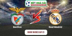 Nhận định bóng đá Benfica vs Real Madrid (03:00 18/02| Cup C1)