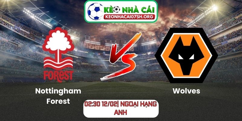 Nhận định bóng đá Nottingham Forest vs Wolves (02:30 12/02| Ngoại hạng Anh)