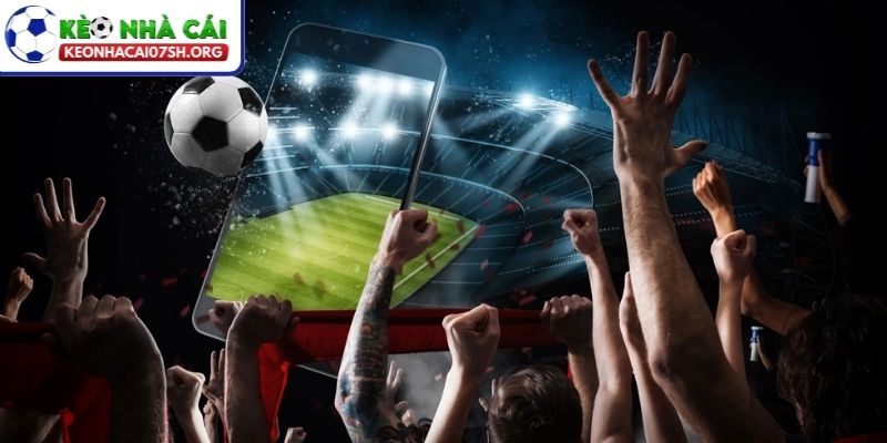 Quan sát sự thay đổi sự biến động của tỷ lệ để nhận định