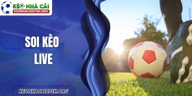 Soi Kèo Live -Hướng Dẫn Đầy Đủ Cho Người Mới Tham Gia